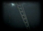 036 Scaffold Ladder